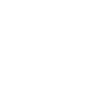 Logo UPS